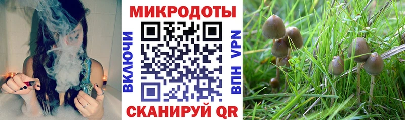 Псилоцибиновые грибы Psilocybe  наркотики  shop как зайти  Владикавказ  blacksprut рабочий сайт 