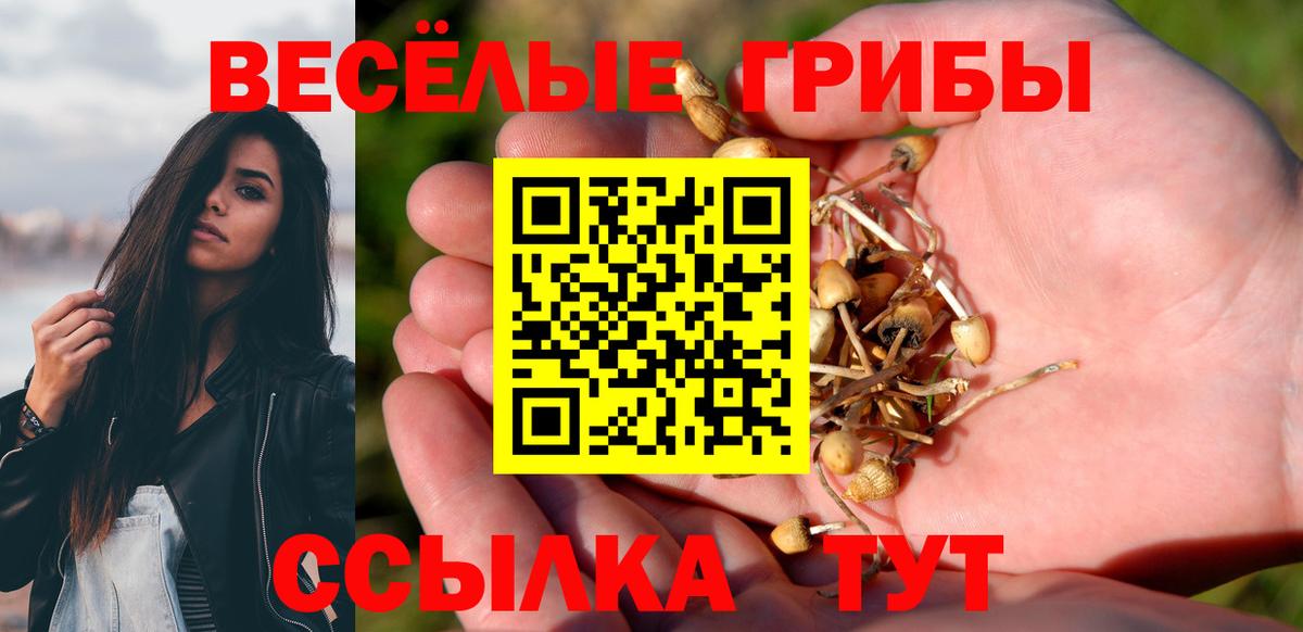 Владикавказ  Псилоцибиновые грибы ЛСД  Вход с VPN 